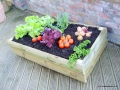 Traditional  Vegetable Box