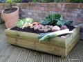 Traditional Vegetable Box