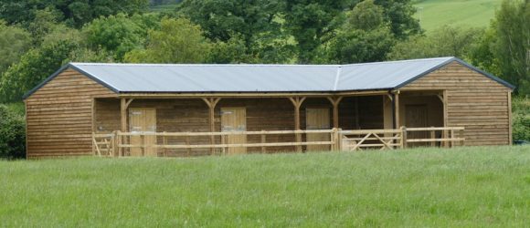 Timber Stables Timber Stables Ireland Crowe Sawmills Ireland