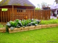 Raised Beds