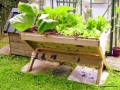 Raised Herb Trough