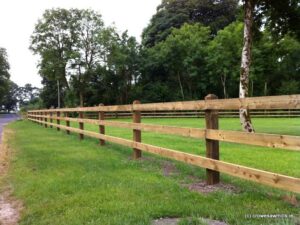 Larch Posts with Diamond Top