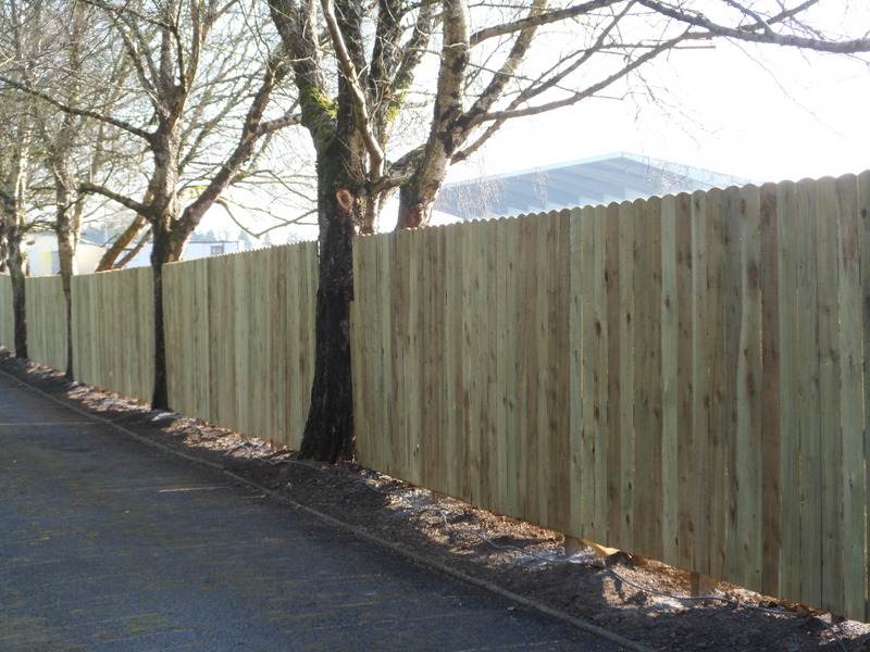 Roundtop Panel Fence