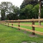 Larch Posts Fence with Diamond Top