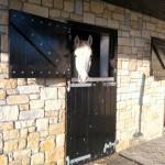 Larch Stable Doors