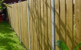Fencing 1