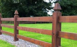 Fencing 3