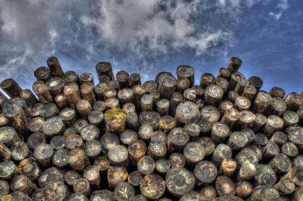 The Value of Ireland’s Forestry Industry