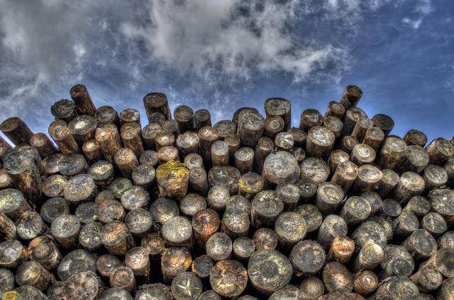 Roundwood-logs