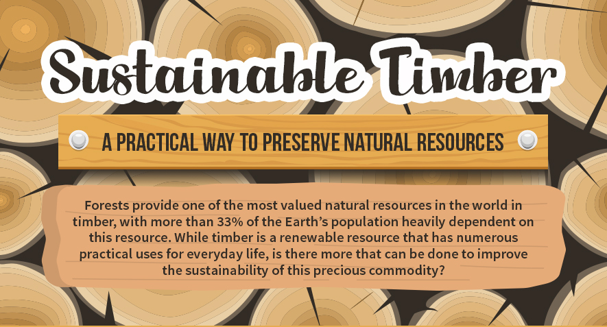Sustainable Timber: A Practical Way to Preserve Natural Resources